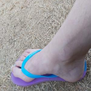 SookieJay