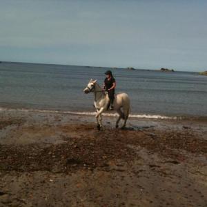 HorseyHannah