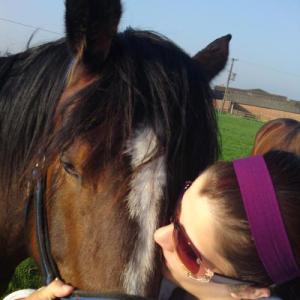 HorseWhisperer